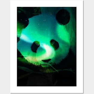 Panda Bear Posters and Art